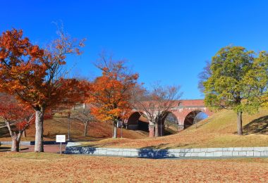 F.Yさんのオフタイム